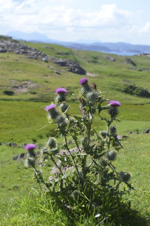 Vila Highland Holiday House Durness Exteriér fotografie