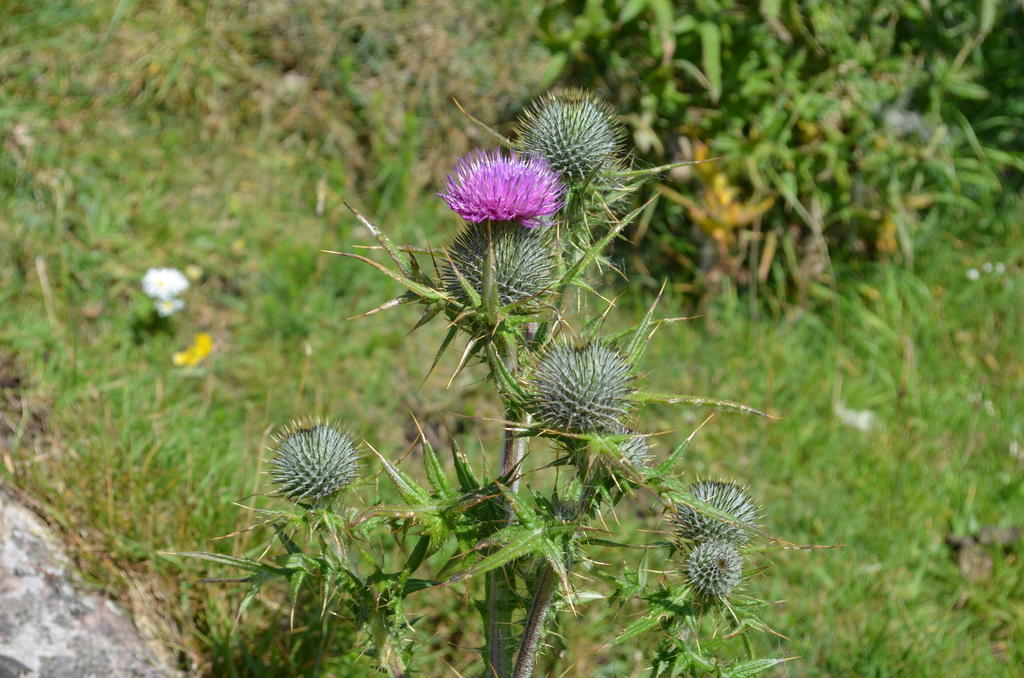 Vila Highland Holiday House Durness Exteriér fotografie